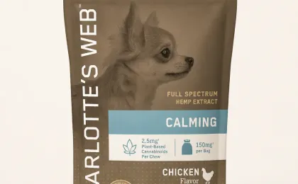 CBD Calming Chews for Dogs