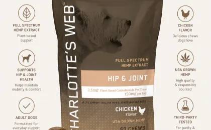 Hip & Joint Chews for Dogs