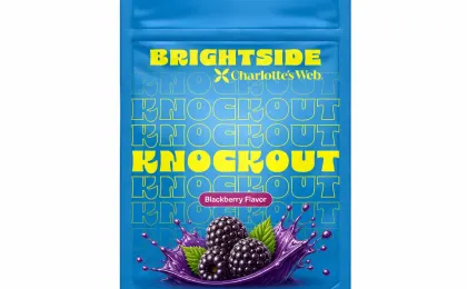 Knockout THC Gummies Blackberry