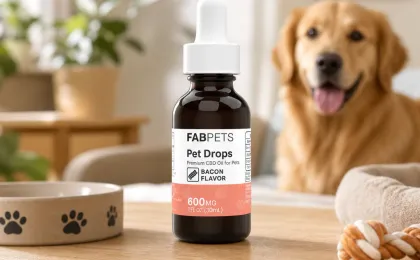 CBD Oil for Pets