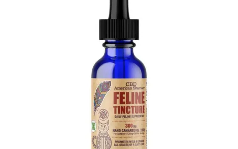 THC Free CBD Cat Oil Tincture