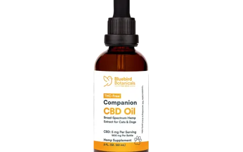 CBD Oil for Pets