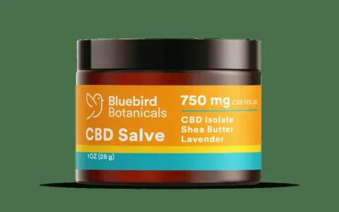 CBD Salve