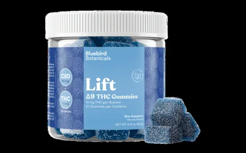 Lift Gummies – Blue Raspberry