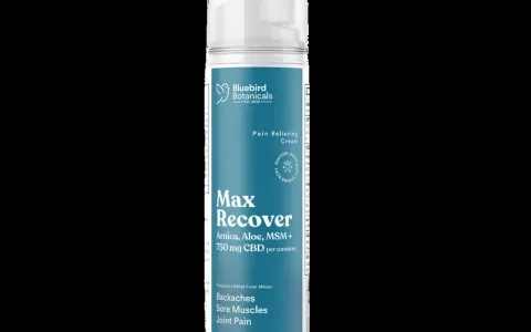 Max Recover Airless Pump
