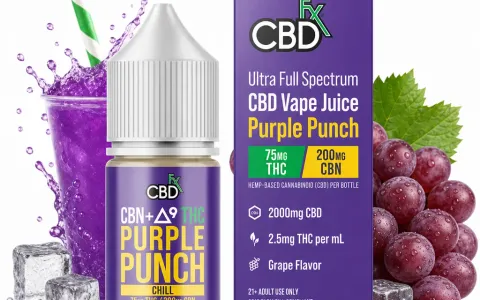 Purple Punch Vape Juice