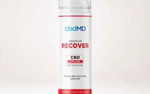 Recover Airless Pump