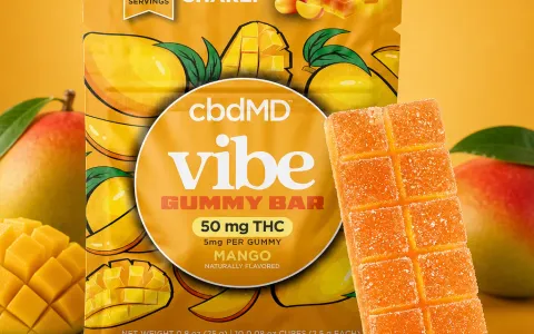 Vibe Bar - Mango THC Gummies