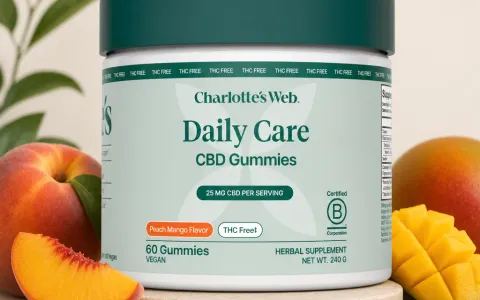 Daily Care THC-Free CBD Gummies