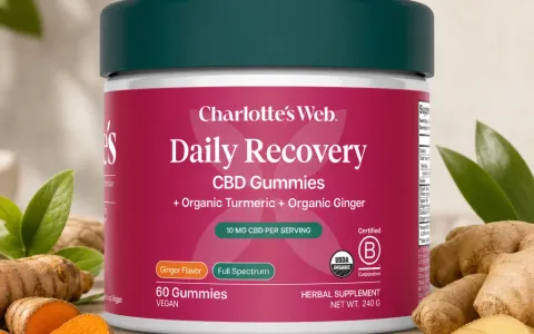 Daily Recovery CBD Gummies