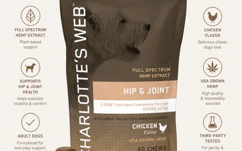 Hip & Joint Chews for Dogs