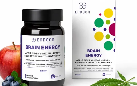 Brain Energy Bilberry Gummies