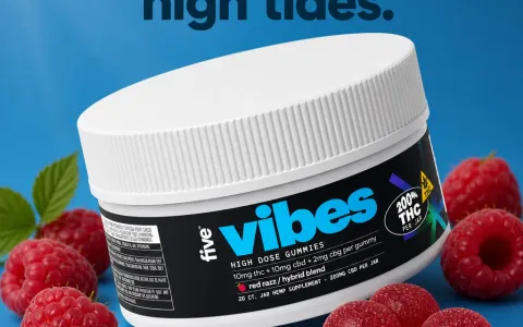 Hybrid Vibes
