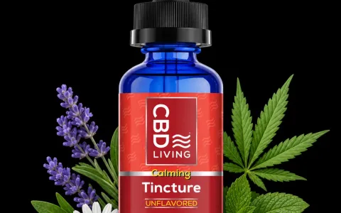 CBD Oil Tincture