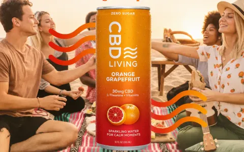 CBD Sparkling Water Orange Grapefruit 12-Pack