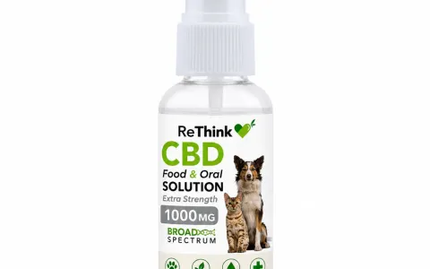 CBD Food & Oral Solution for Pets