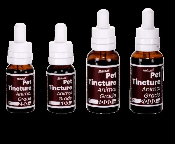 4 Corners Cannabis CBD Pet Tincture with Hemp Oil