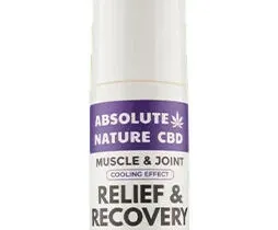 Absolute Nature Full Spectrum CBD Cooling Roll-On